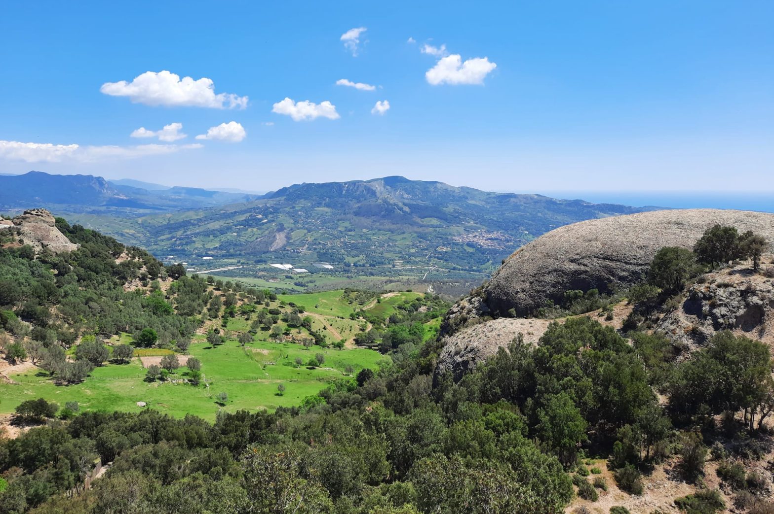 a mountain in sight on the horizon, surrounded by nature, rocks and forests